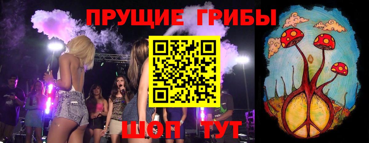 Усть-Илимск  Галлюциногенные грибы GOLDEN TEACHER  Вход с VPN 